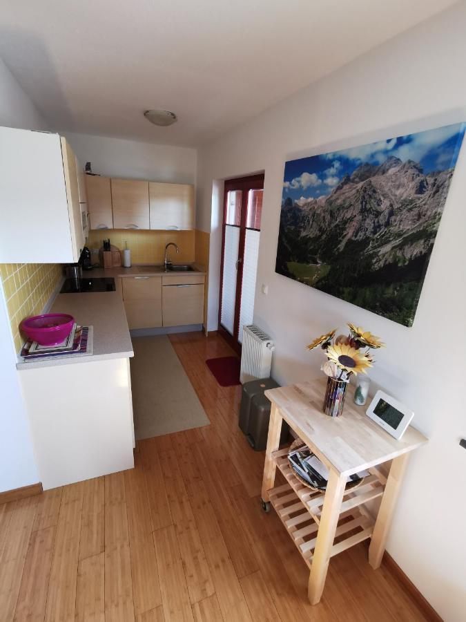 Apartma Neva 博希尼 外观 照片