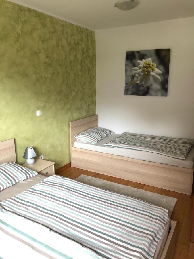 Apartma Neva 博希尼 外观 照片